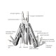 Multitool TASMAN PRO 17 funkcji, stal nierdzewna, srebrny