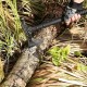 Toporek tasak siekiera tomahawk topór młotek pokrowiec 39cm